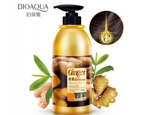 Имбирный шампунь для волос Bioaqua Ginger Charming Hair (1122401)